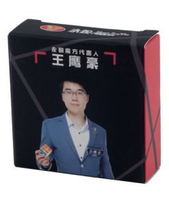 YJ Yuhu Megaminx V2 - Black parts